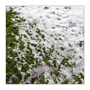 45/365 Nelly Furtado – The Grass Is Green © 2026 Sabine Lommatzsch