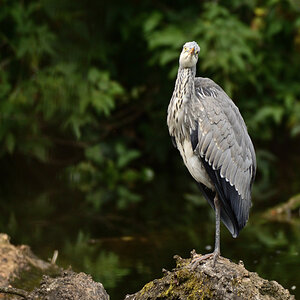 DSC_5190.JPG