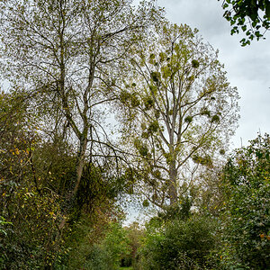 20251012-NZ7_4882.jpg