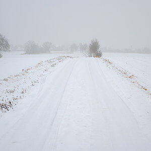 OFZ_03421.jpg