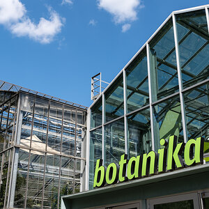 Botanika-002.jpg