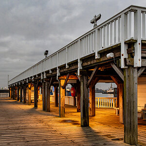 Z50_1239-007.JPG