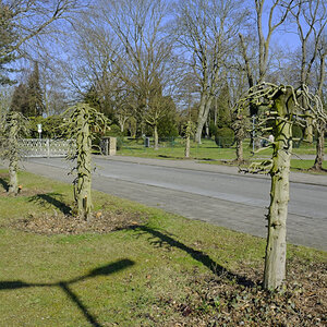 _DSC1373_DxOP_xl.jpg