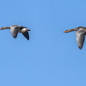 OF5_53048.jpg