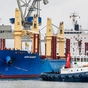 Z50_1490-006.JPG