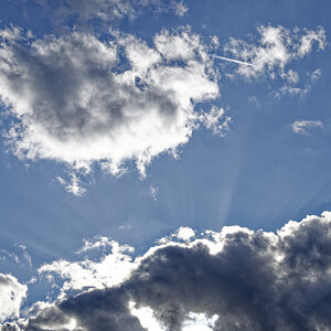 _Z509043_DxOP_xl.jpg