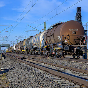 OFZ_03536.jpg