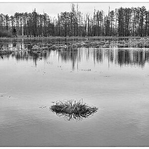Hochwasser in den Seewiesen 2_BW.jpg