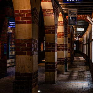 D50_6356-005.JPG
