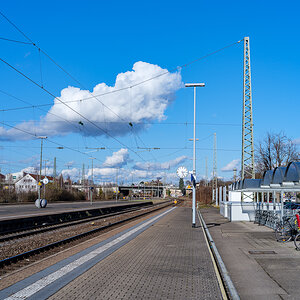 DSCF2679.jpg