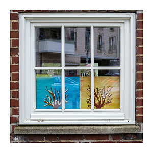 58/365 Element Of Crime – Draußen hinterm Fenster © 2026 Sabine Lommatzsch