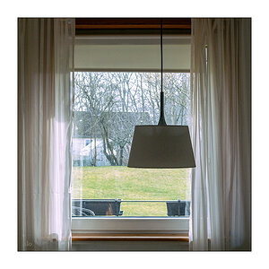 67/365 Kate Bush – Room For The Life © 2026 Sabine Lommatzsch