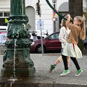 WKZ_7730_b_NF.JPG