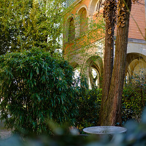 DSCF2656.jpg