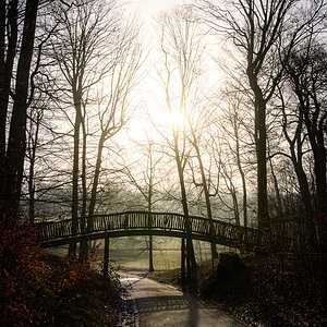 Untitled-6.jpg