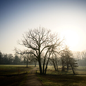 Untitled-7.jpg
