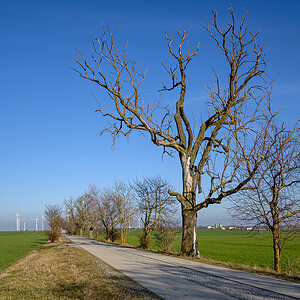 OFZ_03638.jpg