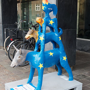 Eurovision Song Contest