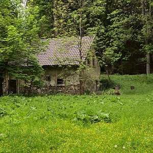 DSC_8590.JPG
