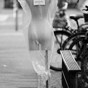 WK8_9208_NF.JPG