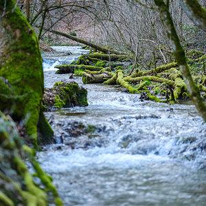 DSCF2775.jpg