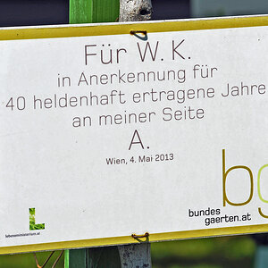 wien_volksgarten_1.jpg