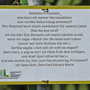 wien_volksgarten_2.jpg
