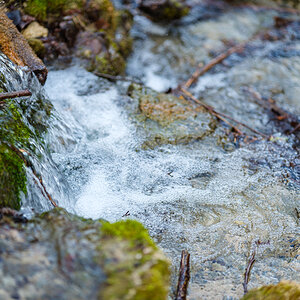DSCF2769.jpg