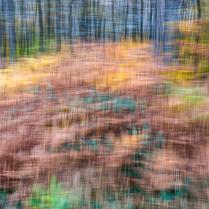 Doppel-Wischer
