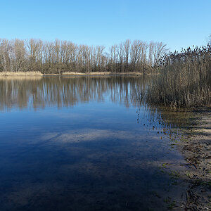 Marschsee.jpg