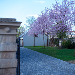 DSCF2806.jpg