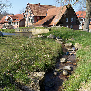 B0000720.jpg