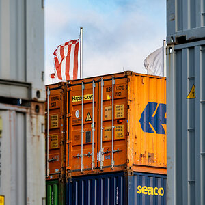 Z50_2495-020.JPG