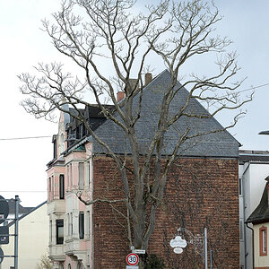 trsaarstr_296.JPG