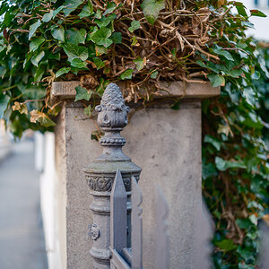 DSCF2849.jpg