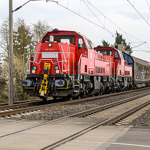 OFZ_03996.jpg