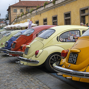 T51X1794-1.JPG