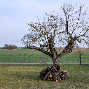 OFZ_03490.jpg