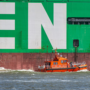 Z50_3388-095.JPG