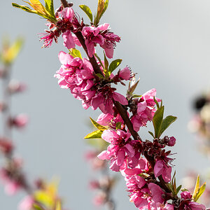 260401-016.jpg