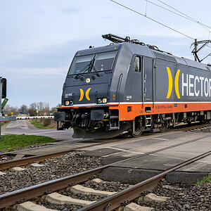 OFZ_04014.jpg