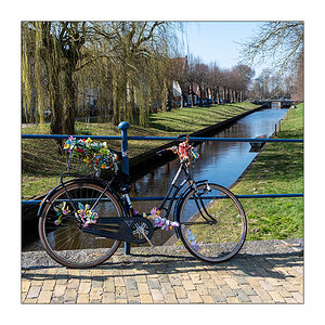 81/365 Juli – Fahrrad © 2026 Sabine Lommatzsch