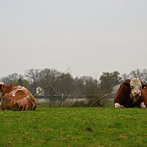 Z8A_1569t25l15fks40p1.jpg