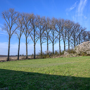 OFZ_04160.jpg