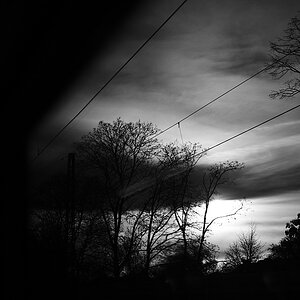 IMG_2026-04-08-194613.jpeg