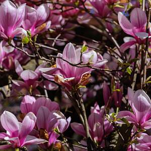DSCF2921.jpg