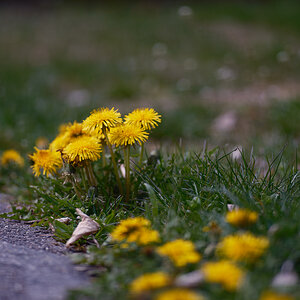 DSCF2896.jpg