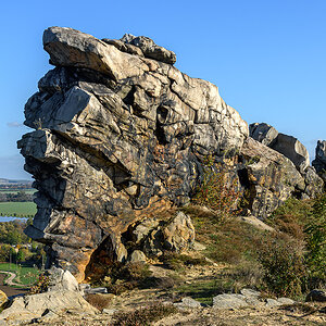 OF2_70556.jpg