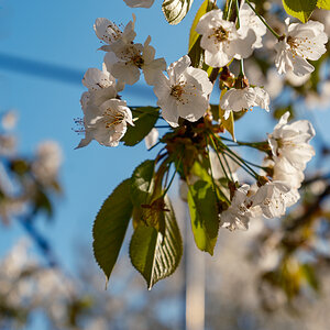 DSCF2970.jpg
