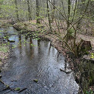 Ilmenau.jpg